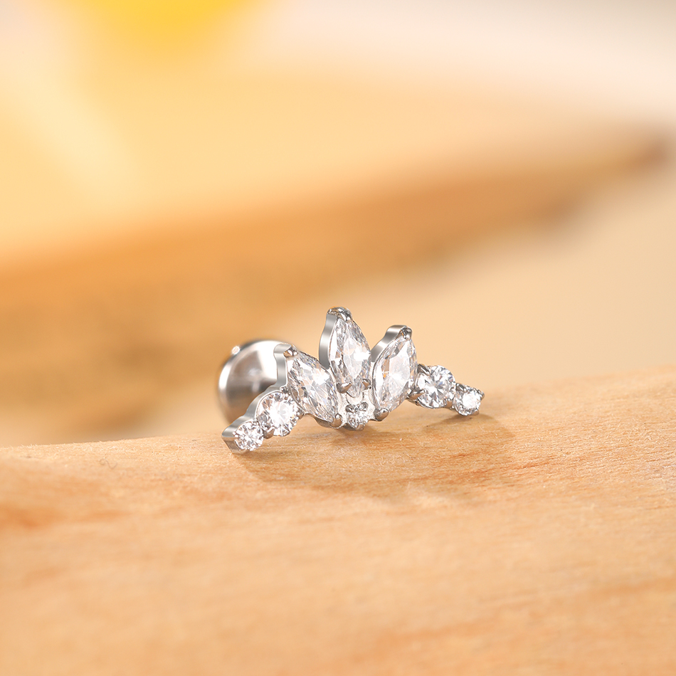 1 STÜCK Titan Zirkonia Delphin – Body Jewelry Internally Threaded Bewertung und Preis