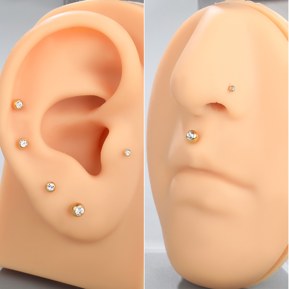 G23 Titan Labret Piercing Lipp – Body Jewelry Internally Threaded Bewertung und Preis